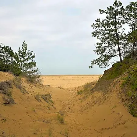 Completely Renewed Near The 호텔 비비오네
